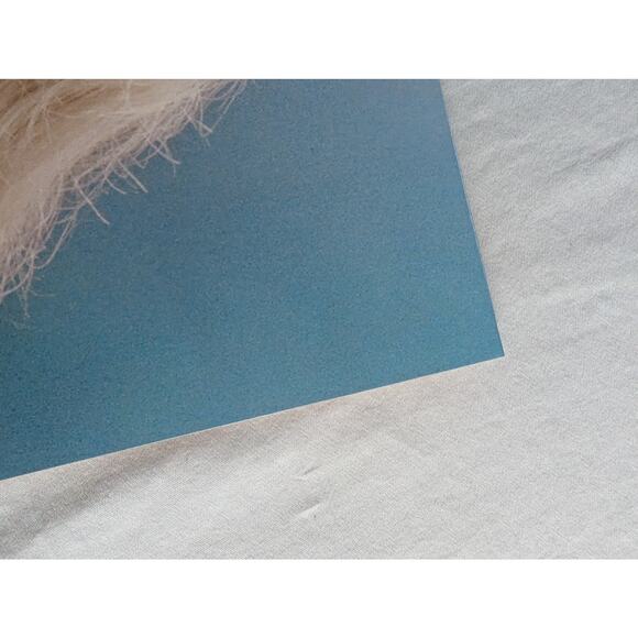 Sabrina Carpenter Short N' Sweet Deluxe Blood Records Zoetrope Vinyl LP /10000 - Picture 14 of 16